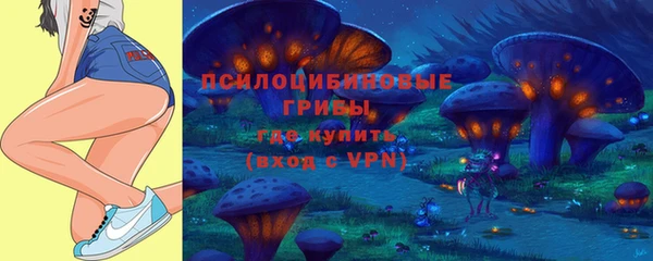 тгк Баксан