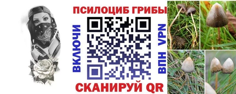 закладки  МЕГА онион  Галлюциногенные грибы Cubensis  Лермонтов 
